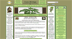 Desktop Screenshot of ilovemoringa.com