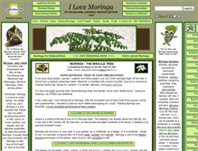 Tablet Screenshot of ilovemoringa.com